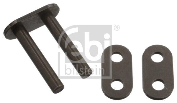 Link, timing chain